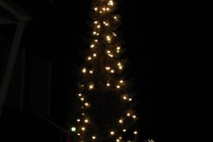 IMG_1012-Medium