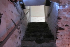 IMG_4202-Gross-
