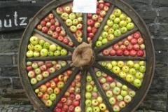 2013_Apfelfest